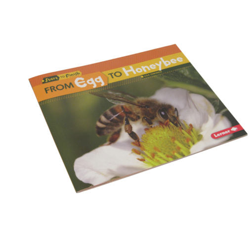 Book- From Egg to Honeybee