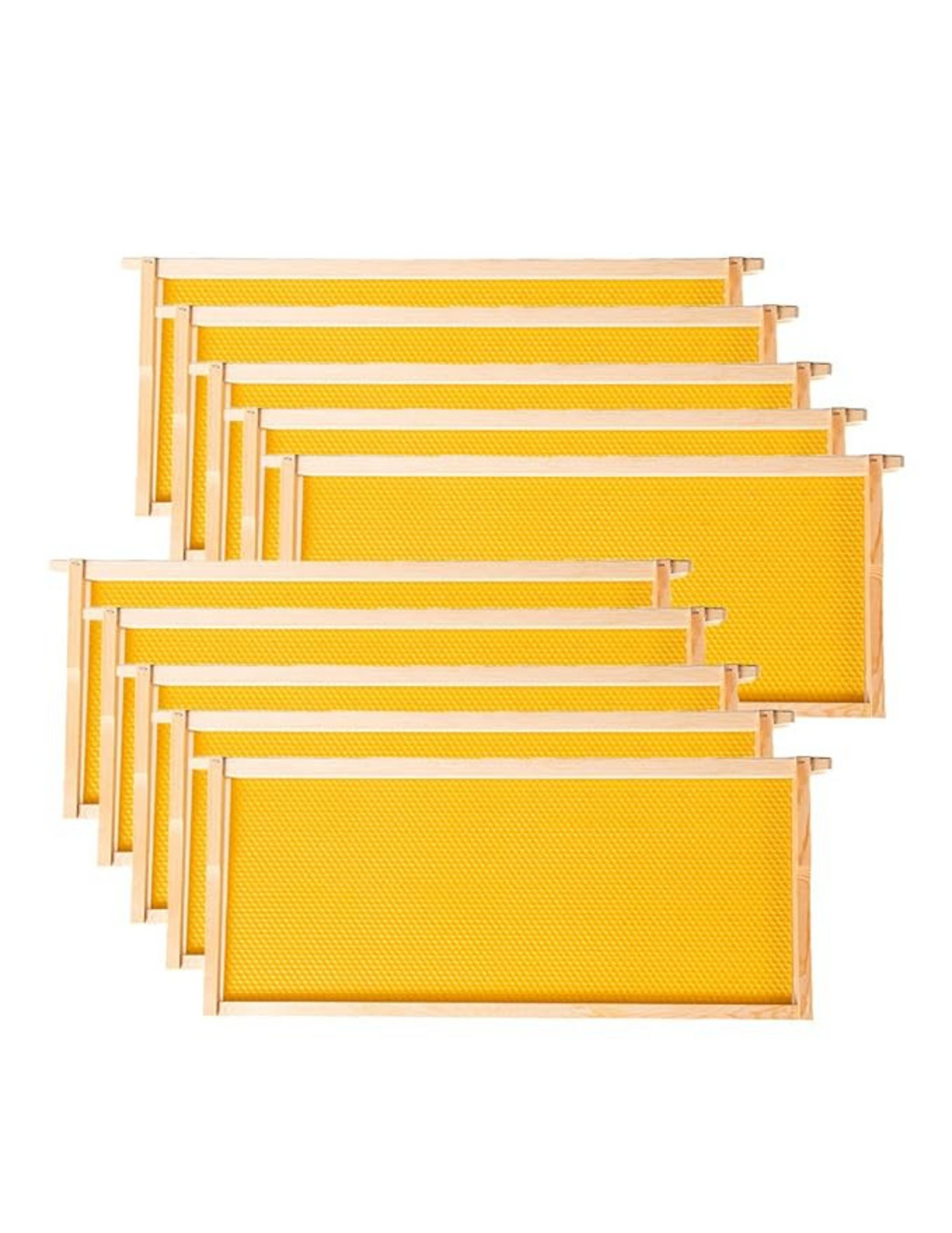 Deep Frames & Foundations (Assembled) (10 frames per set) Yellow