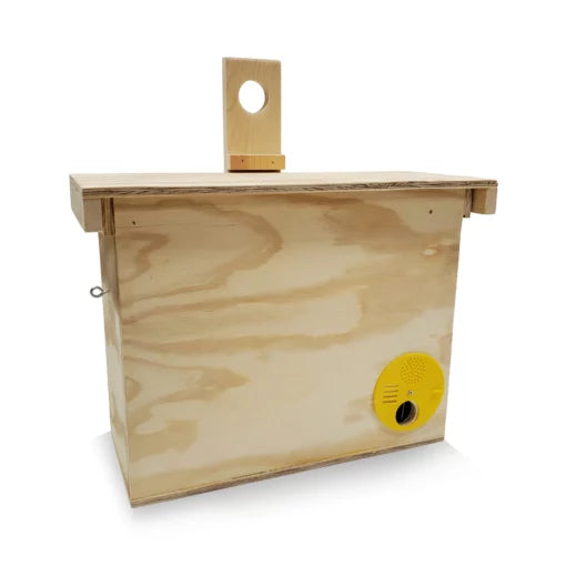 Swarm Trap