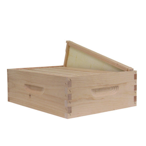 Expansion Kit, Medium, Assembled with 10 Frames with Plastic Foundation